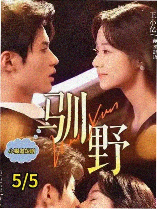 一级视频新剧回声档案馆第二季海报